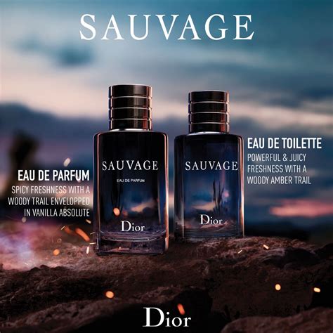 slogan de dior|sauvage dior symbolism.